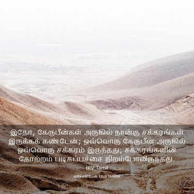 Picture 03 - எசேக்கியேல் 10:9 TAMIRV - இதோ, கேருபீன்கள் - Bible Verse Picture