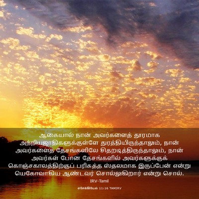 Picture 03 - எசேக்கியேல் 11:16 TAMIRV - ஆகையால் நான் - Bible Verse Picture