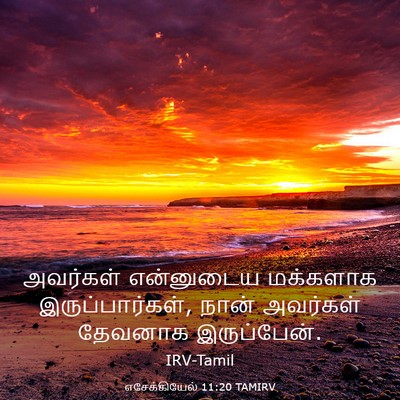 Picture 03 - எசேக்கியேல் 11:20 TAMIRV - அவர்கள் என்னுடைய - Bible Verse Picture