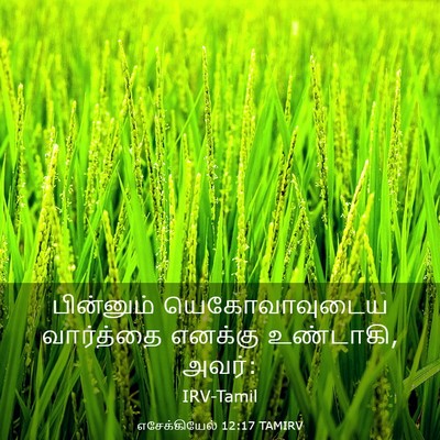 Picture 03 - எசேக்கியேல் 12:17 TAMIRV - பின்னும் - Bible Verse Picture