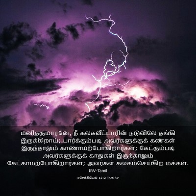 Picture 03 - எசேக்கியேல் 12:2 TAMIRV - மனிதகுமாரனே, நீ - Bible Verse Picture
