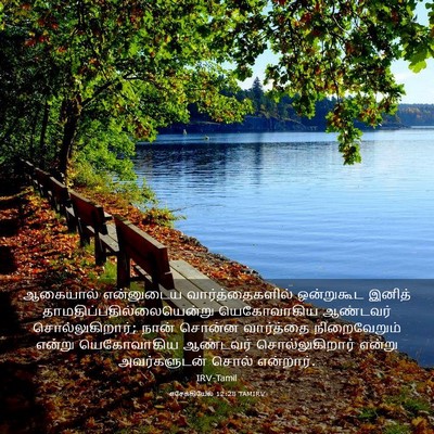 Picture 03 - எசேக்கியேல் 12:28 TAMIRV - ஆகையால் என்னுடைய - Bible Verse Picture