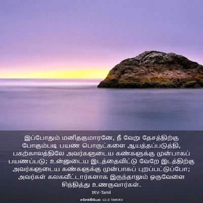 Picture 03 - எசேக்கியேல் 12:3 TAMIRV - இப்போதும் - Bible Verse Picture