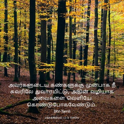 Picture 03 - எசேக்கியேல் 12:5 TAMIRV - அவர்களுடைய - Bible Verse Picture