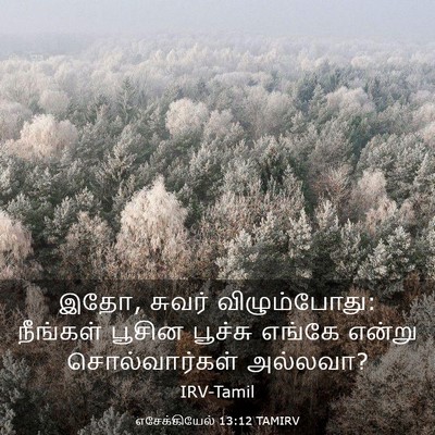 Picture 03 - எசேக்கியேல் 13:12 TAMIRV - இதோ, சுவர் - Bible Verse Picture