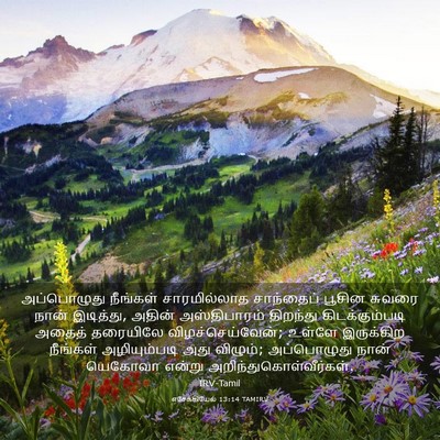 Picture 03 - எசேக்கியேல் 13:14 TAMIRV - அப்பொழுது நீங்கள் - Bible Verse Picture