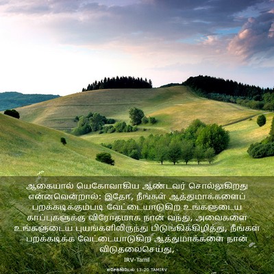 Picture 03 - எசேக்கியேல் 13:20 TAMIRV - ஆகையால் யெகோவாகிய - Bible Verse Picture