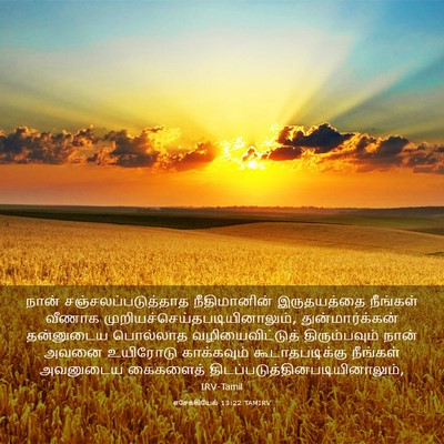 Picture 03 - எசேக்கியேல் 13:22 TAMIRV - நான் - Bible Verse Picture