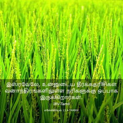 Picture 03 - எசேக்கியேல் 13:4 TAMIRV - இஸ்ரவேலே, - Bible Verse Picture