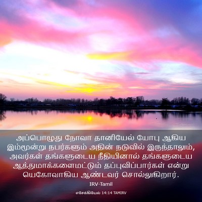 Picture 03 - எசேக்கியேல் 14:14 TAMIRV - அப்பொழுது நோவா - Bible Verse Picture