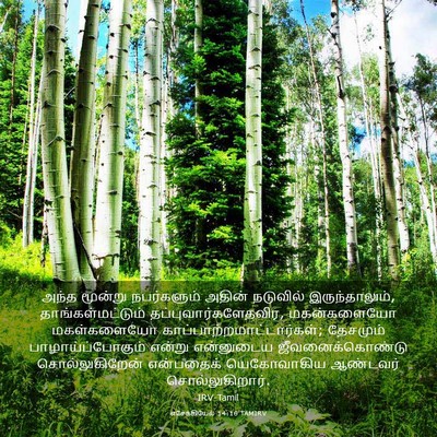 Picture 03 - எசேக்கியேல் 14:16 TAMIRV - அந்த மூன்று - Bible Verse Picture