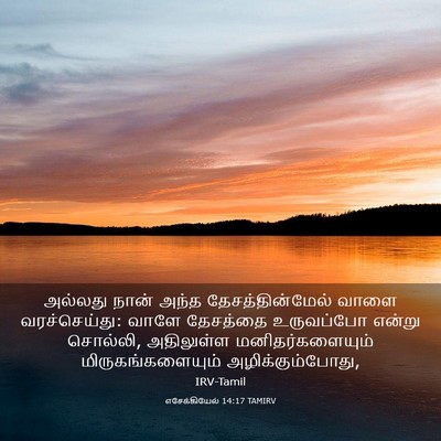 Picture 03 - எசேக்கியேல் 14:17 TAMIRV - அல்லது நான் அந்த - Bible Verse Picture