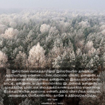 Picture 03 - எசேக்கியேல் 14:7 TAMIRV - இஸ்ரவேல் - Bible Verse Picture