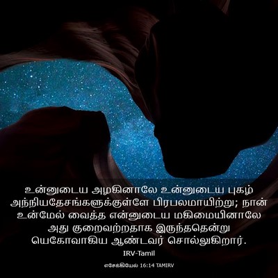 Picture 03 - எசேக்கியேல் 16:14 TAMIRV - உன்னுடைய அழகினாலே - Bible Verse Picture