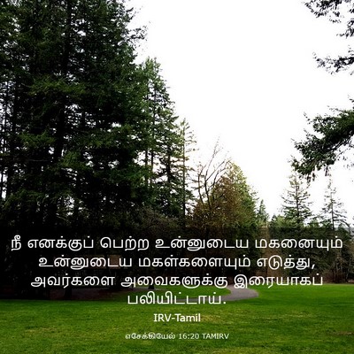 Picture 03 - எசேக்கியேல் 16:20 TAMIRV - நீ எனக்குப் பெற்ற - Bible Verse Picture
