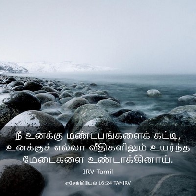 Picture 03 - எசேக்கியேல் 16:24 TAMIRV - நீ உனக்கு - Bible Verse Picture