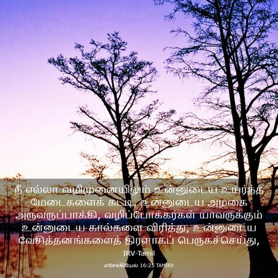Picture 03 - எசேக்கியேல் 16:25 TAMIRV - நீ எல்லா - Bible Verse Picture