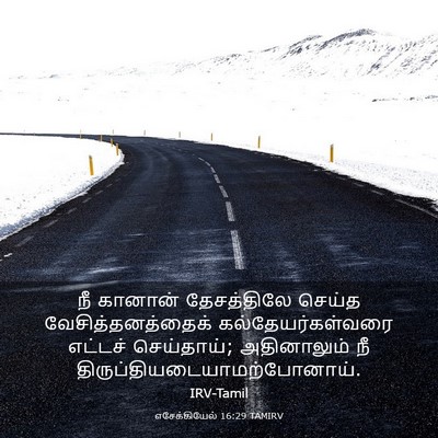 Picture 03 - எசேக்கியேல் 16:29 TAMIRV - நீ கானான் - Bible Verse Picture