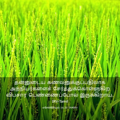 Picture 03 - எசேக்கியேல் 16:32 TAMIRV - தன்னுடைய - Bible Verse Picture