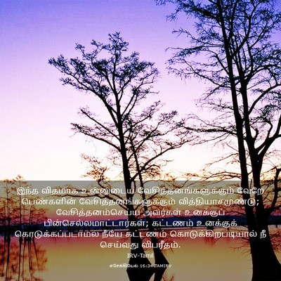 Picture 03 - எசேக்கியேல் 16:34 TAMIRV - இந்த விதமாக - Bible Verse Picture
