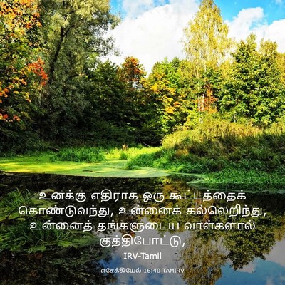 Picture 03 - எசேக்கியேல் 16:40 TAMIRV - உனக்கு எதிராக ஒரு - Bible Verse Picture