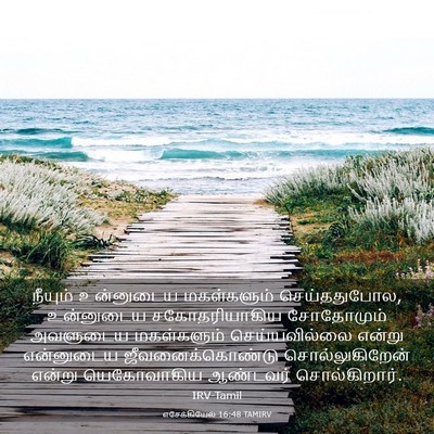 Picture 03 - எசேக்கியேல் 16:48 TAMIRV - நீயும் உன்னுடைய - Bible Verse Picture