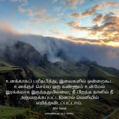 Picture 03 - எசேக்கியேல் 16:5 TAMIRV - உனக்காகப் - Bible Verse Picture