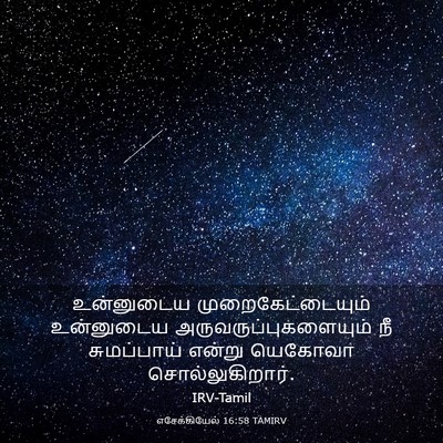 Picture 03 - எசேக்கியேல் 16:58 TAMIRV - உன்னுடைய - Bible Verse Picture