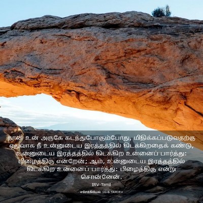 Picture 03 - எசேக்கியேல் 16:6 TAMIRV - நான் உன் அருகே - Bible Verse Picture