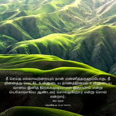 Picture 03 - எசேக்கியேல் 16:63 TAMIRV - நீ செய்த - Bible Verse Picture