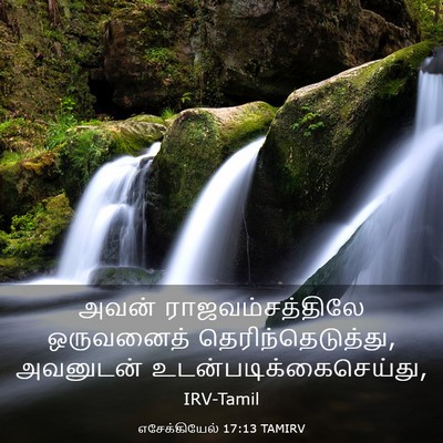 Picture 03 - எசேக்கியேல் 17:13 TAMIRV - அவன் - Bible Verse Picture