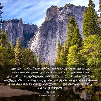 Picture 03 - எசேக்கியேல் 17:19 TAMIRV - அதற்காக யெகோவாகிய - Bible Verse Picture
