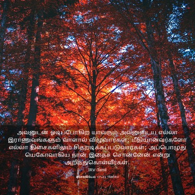 Picture 03 - எசேக்கியேல் 17:21 TAMIRV - அவனுடன் - Bible Verse Picture
