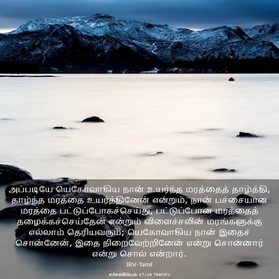 Picture 03 - எசேக்கியேல் 17:24 TAMIRV - அப்படியே - Bible Verse Picture