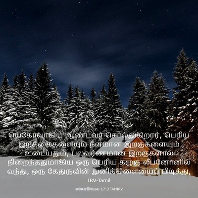 Picture 03 - எசேக்கியேல் 17:3 TAMIRV - யெகோவாகிய ஆண்டவர் - Bible Verse Picture