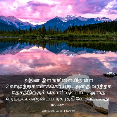 Picture 03 - எசேக்கியேல் 17:4 TAMIRV - அதின் - Bible Verse Picture