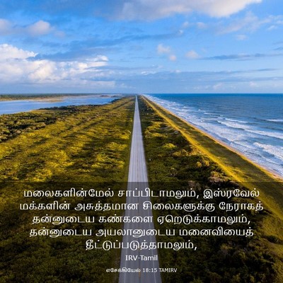 Picture 03 - எசேக்கியேல் 18:15 TAMIRV - மலைகளின்மேல் - Bible Verse Picture