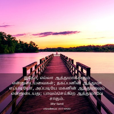 Picture 03 - எசேக்கியேல் 18:4 TAMIRV - இதோ, எல்லா - Bible Verse Picture