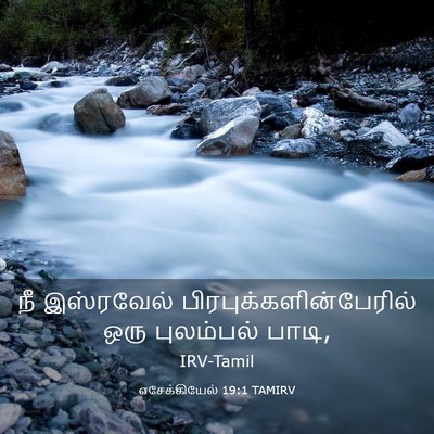 Picture 03 - எசேக்கியேல் 19:1 TAMIRV - நீ இஸ்ரவேல் - Bible Verse Picture