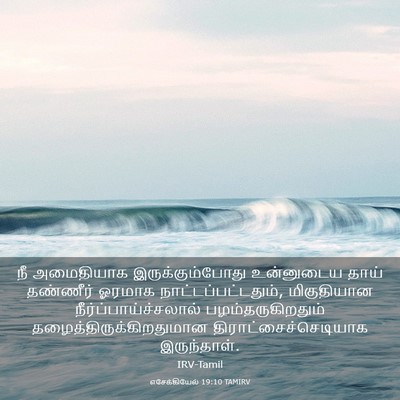 Picture 03 - எசேக்கியேல் 19:10 TAMIRV - நீ அமைதியாக - Bible Verse Picture