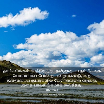 Picture 03 - எசேக்கியேல் 19:5 TAMIRV - தாய்ச்சிங்கம் - Bible Verse Picture