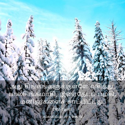 Picture 03 - எசேக்கியேல் 19:6 TAMIRV - அது - Bible Verse Picture