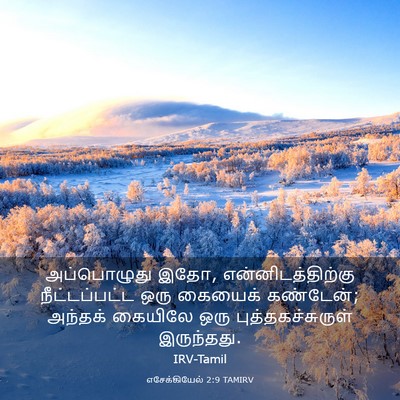Picture 03 - எசேக்கியேல் 2:9 TAMIRV - அப்பொழுது இதோ, - Bible Verse Picture