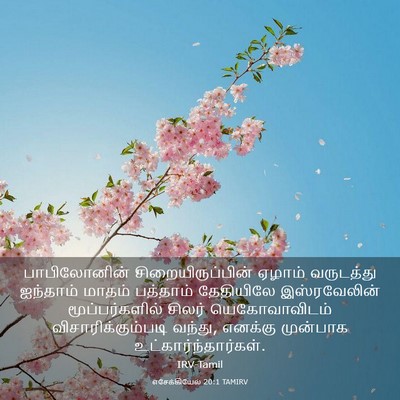 Picture 03 - எசேக்கியேல் 20:1 TAMIRV - பாபிலோனின் - Bible Verse Picture