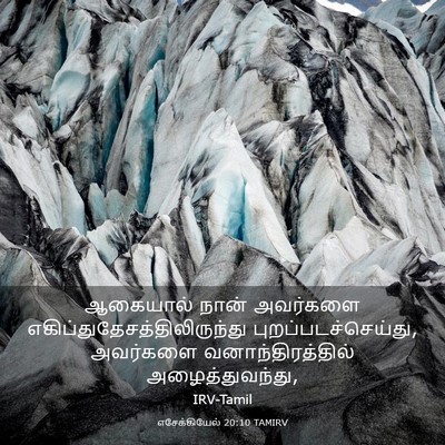 Picture 03 - எசேக்கியேல் 20:10 TAMIRV - ஆகையால் நான் - Bible Verse Picture