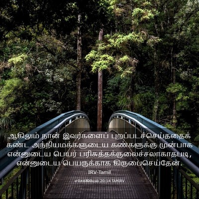 Picture 03 - எசேக்கியேல் 20:14 TAMIRV - ஆகிலும் நான் - Bible Verse Picture