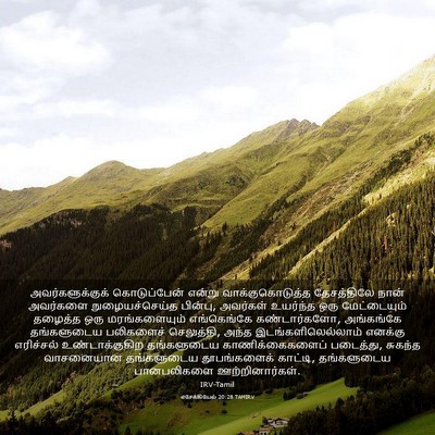 Picture 03 - எசேக்கியேல் 20:28 TAMIRV - அவர்களுக்குக் - Bible Verse Picture