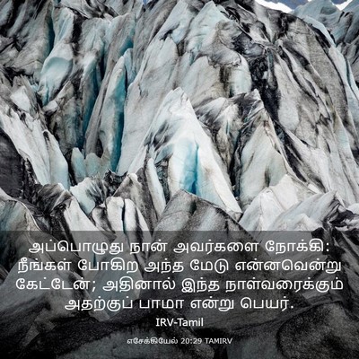 Picture 03 - எசேக்கியேல் 20:29 TAMIRV - அப்பொழுது நான் - Bible Verse Picture