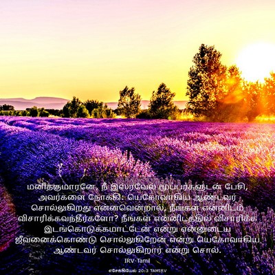 Picture 03 - எசேக்கியேல் 20:3 TAMIRV - மனிதகுமாரனே, நீ - Bible Verse Picture