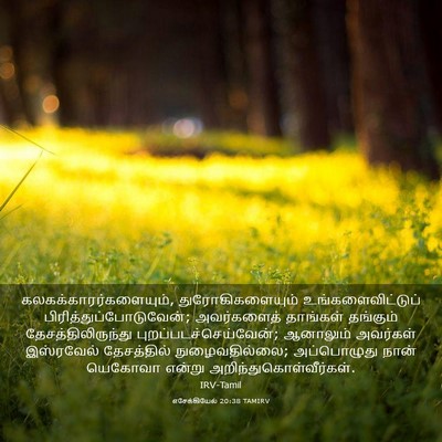Picture 03 - எசேக்கியேல் 20:38 TAMIRV -  - Bible Verse Picture